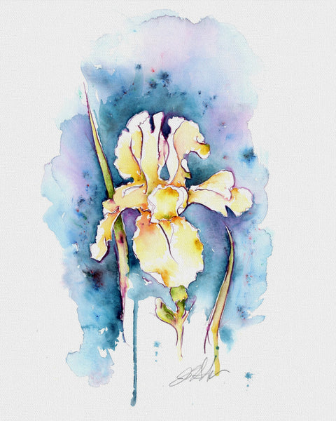 Iris on Blue Grey