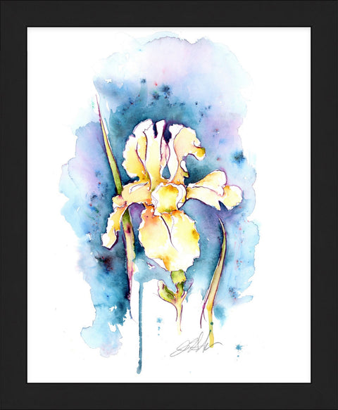 Iris on Blue Grey