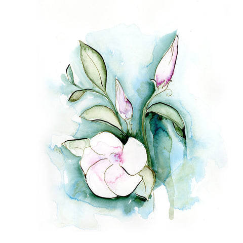 A watercolor painting of pink morning glory flowers on a piece of paper with a blue green watercolor background.