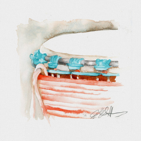 Djembe Drum - African drum watercolor art