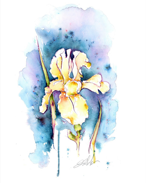 Iris on Blue Grey