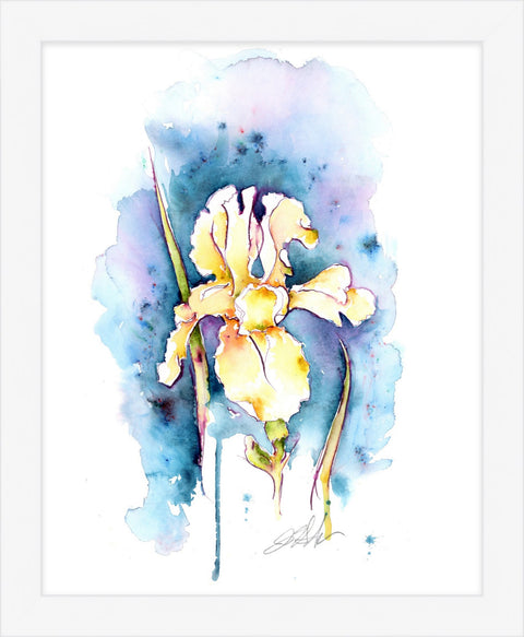 Iris on Blue Grey