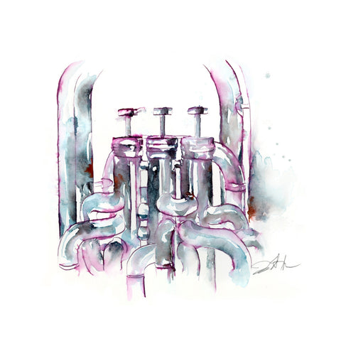 Four Valve Euphonium