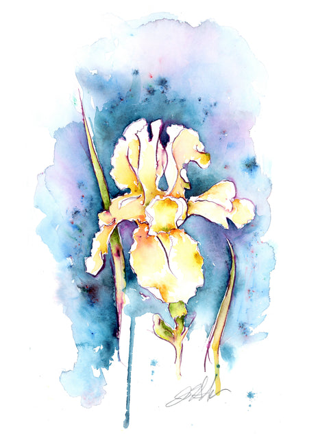 Iris on Blue Grey